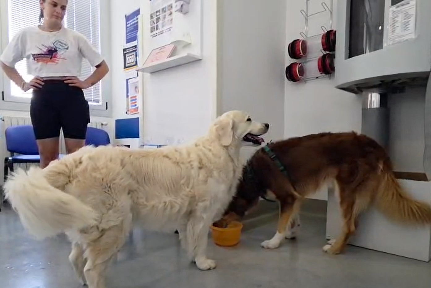 Pet Therapy 2026 Neurologia ISS